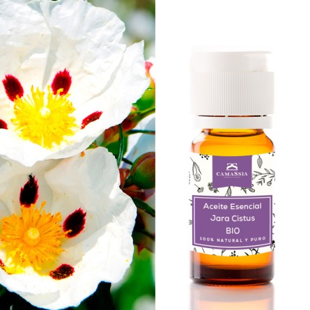 Aceite esencial jara ( cistus) BIO