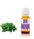 Aceite esencial Laurel bio