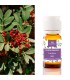 Aceite esencial lentisco bio