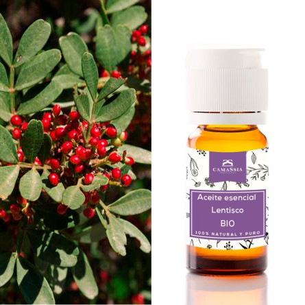 Aceite esencial lentisco bio