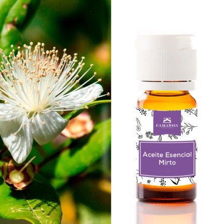 aceite esencial mirto