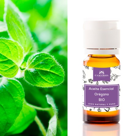 aceite esencial oregano