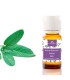Aceite esencial salvia BIO (salvia officinalis)