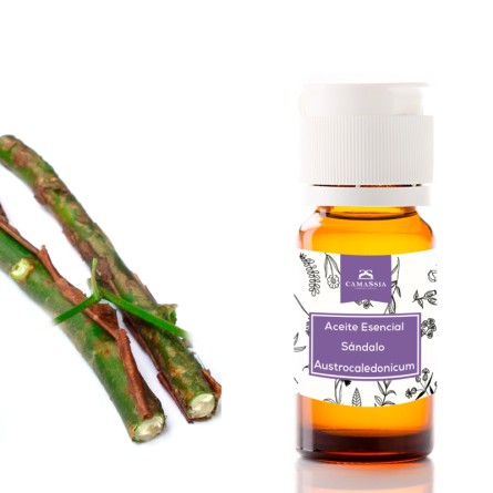 aceite esencial sandalo australocaledonicum