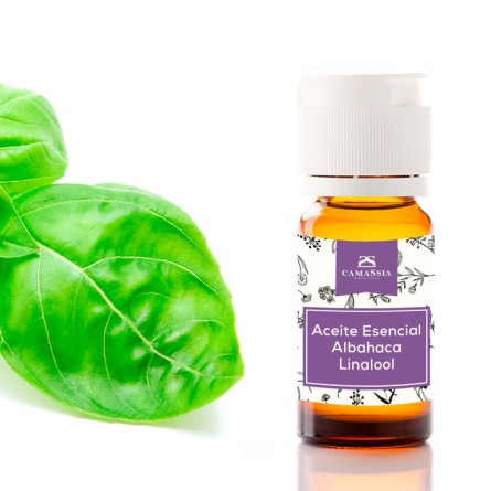 Aceite esencial Albahaca qt linalol