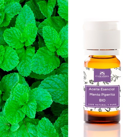 aceite esencial menta piperita bio