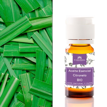 Aceite esencial citronela java BIO