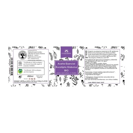 Aceite esencial eucalipto (Eucalyptus globulus) BIO