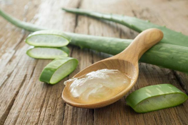 Aloe vera: propiedades y beneficios