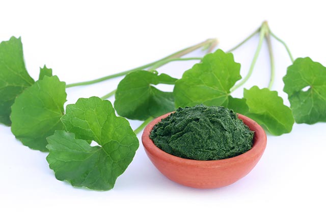 Descubre Brahmi BIO molido, el polvo ayurvédico revitalizante por excelencia