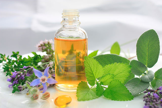 Aceite de borraja virgen BIO, el perfecto agente antienvejecimiento