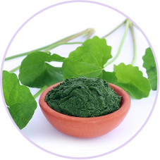 Brahmi BIO molido