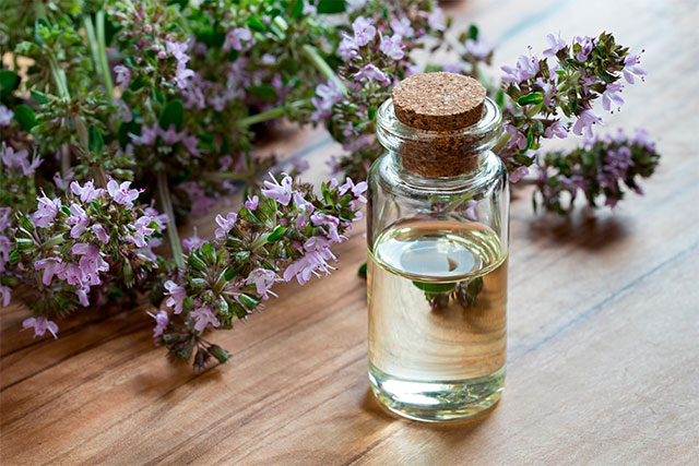 Aceite esencial de tomillo, el ingrediente perfecto contra el resfriado