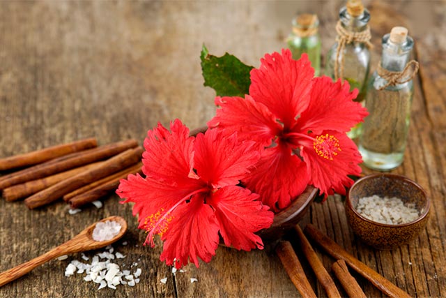 Beneficios del extracto de Hibisco en cosmética natural