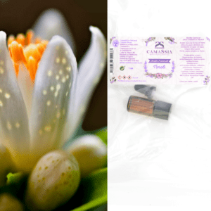 Aceite esencial Neroli
