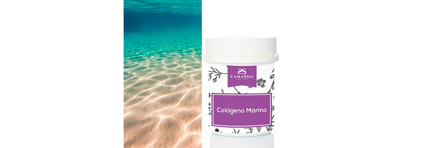 colageno-marino