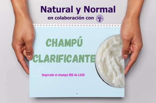 Ingredientes para el curso/taller de Natural y Normal: Champú clarificante