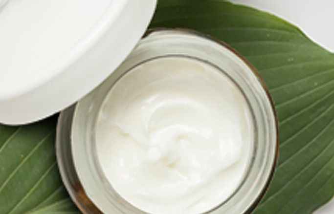 Recetas de cremas